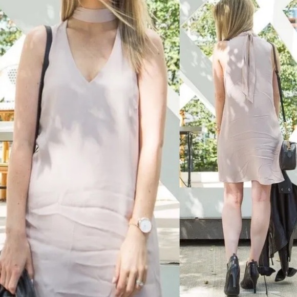 ARITZIA Wilfred Éthéré Dress sleeveless back tie blush pink size Small - Picture 2 of 10